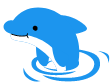イルカの画像